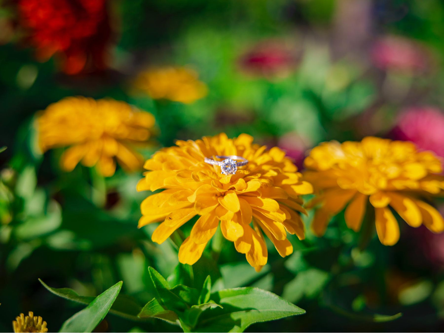 The Wedding Website of Bridgette Reilly and Ryan Jenkins