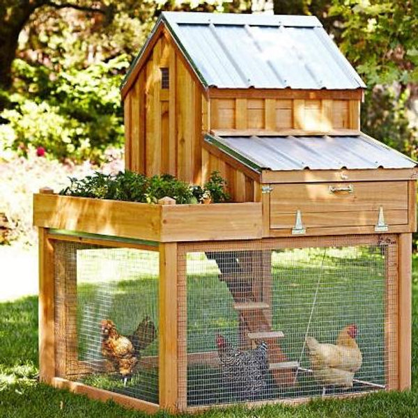 Garden & Chicken Coop Fund