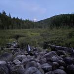 Walk Around The Lake