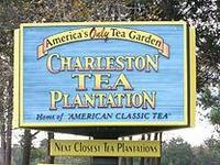 Charleston Tea Plantation