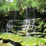 Zilker Botanical Garden