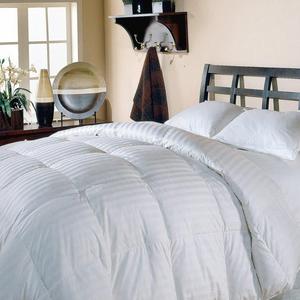 All Season Comforter