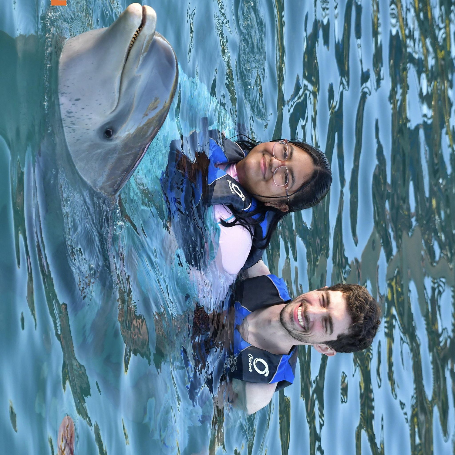 Bahamas excursion featuring the cutest dolphin. 2024.