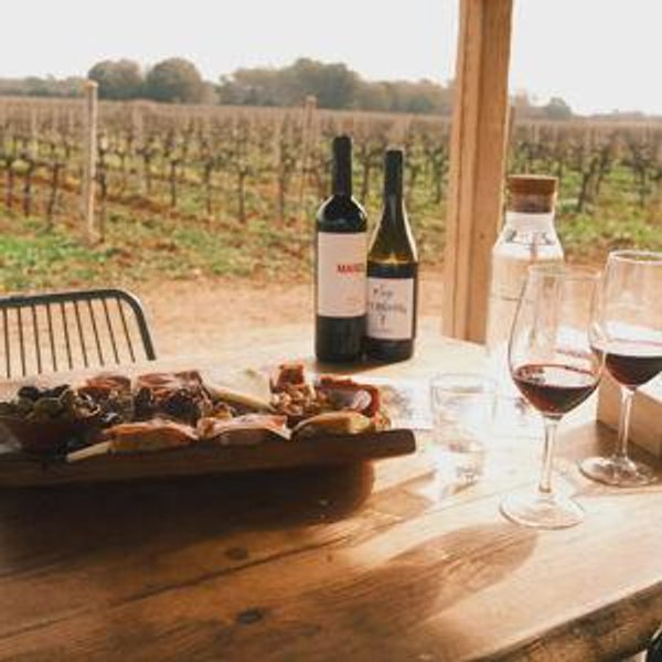 Mallorca Wine Experience