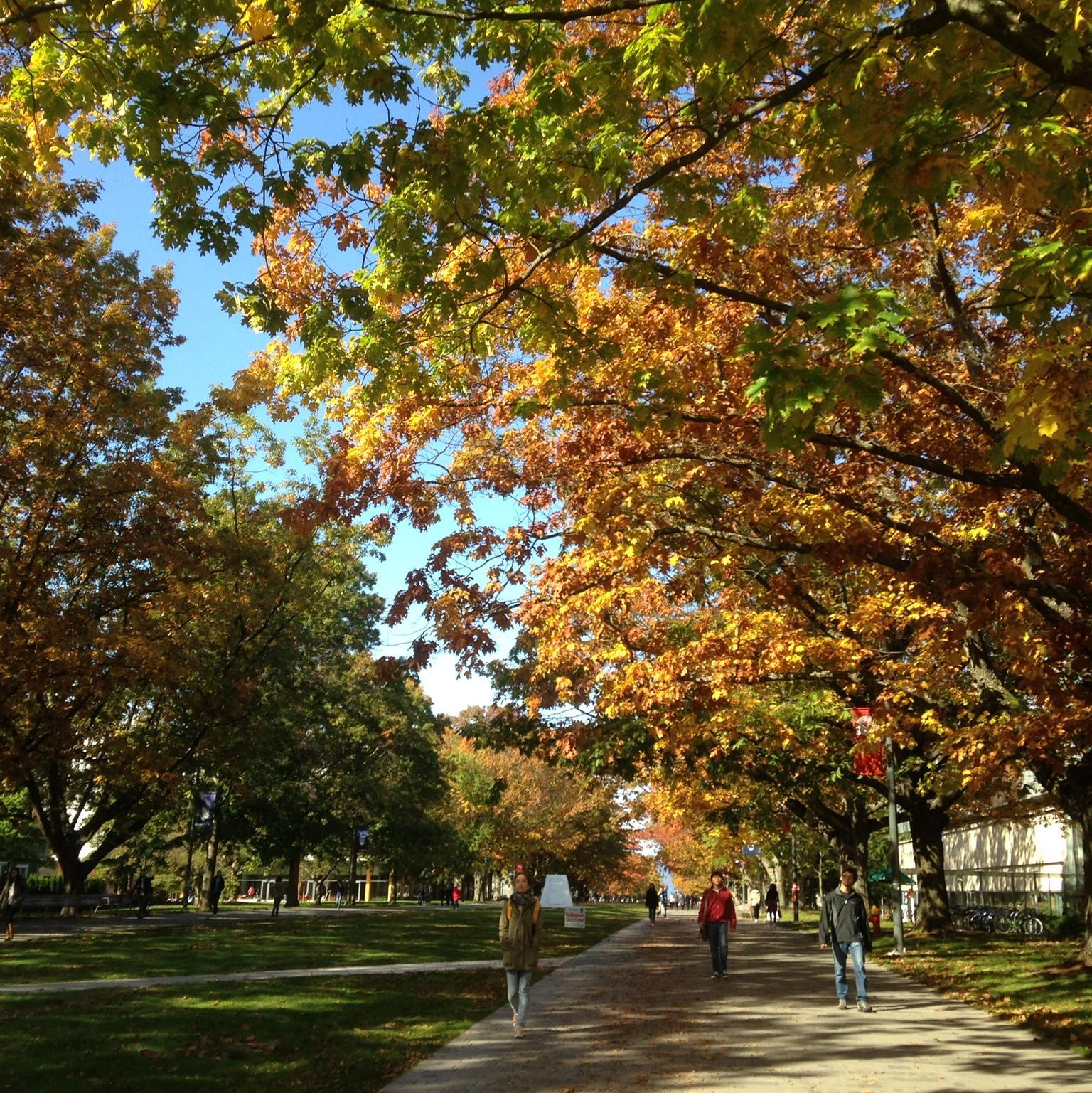 Fall at UBC. This photo was probably taken around the time we met!