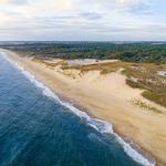 Cape Henlopen State Park