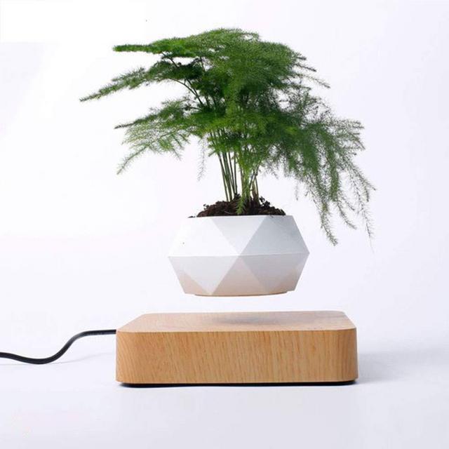 Levitating Air Bonsai Pot, Rotation Flower Pot Planters, Magnetic Levitation Suspension Floating Pot, Potted Plant Home Desk Decor in Flower Pots & Planters from Home & Garden on (Light Color)