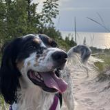 Leelanau State Park — Hiking Trailhead