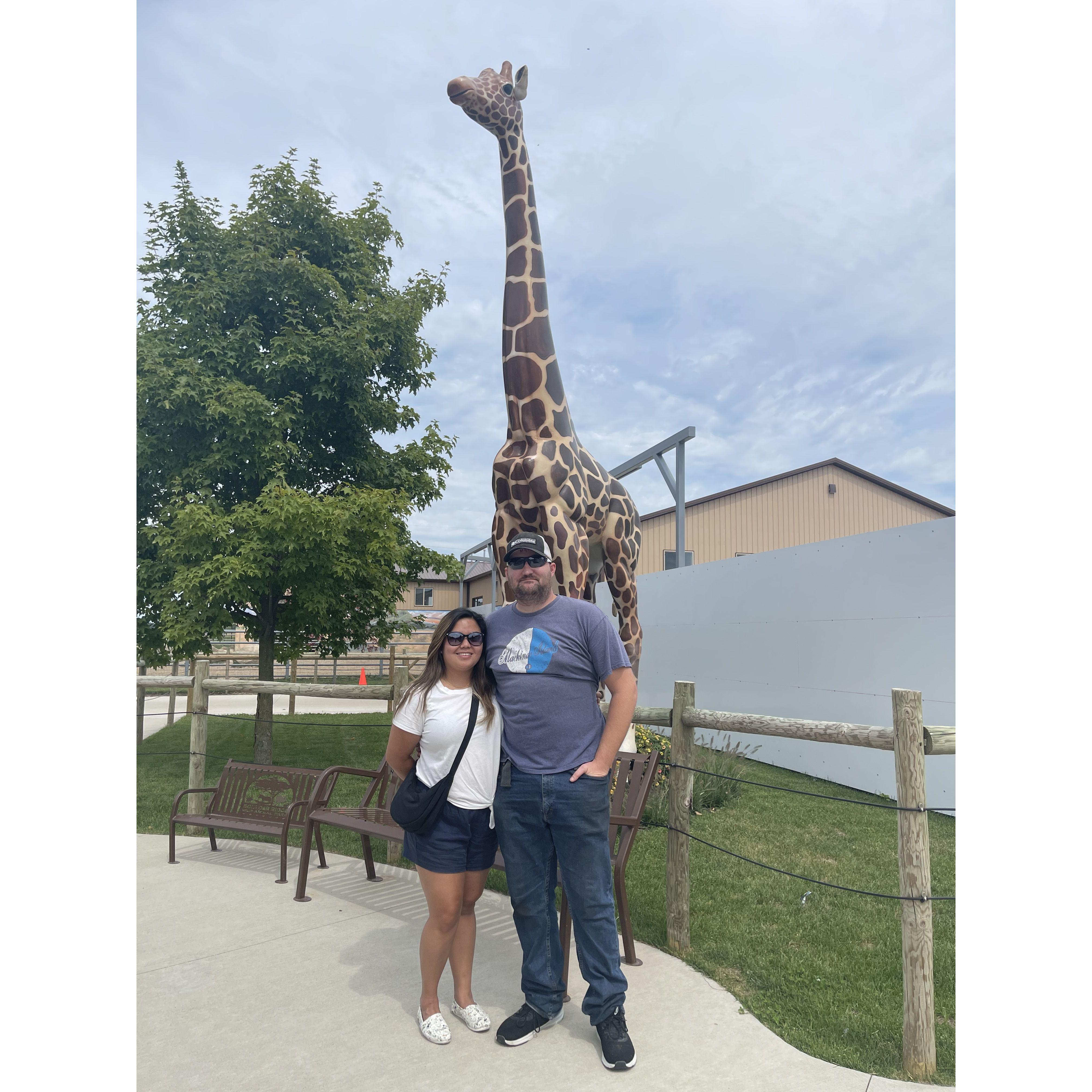 Binder Park Zoo + Giraffe