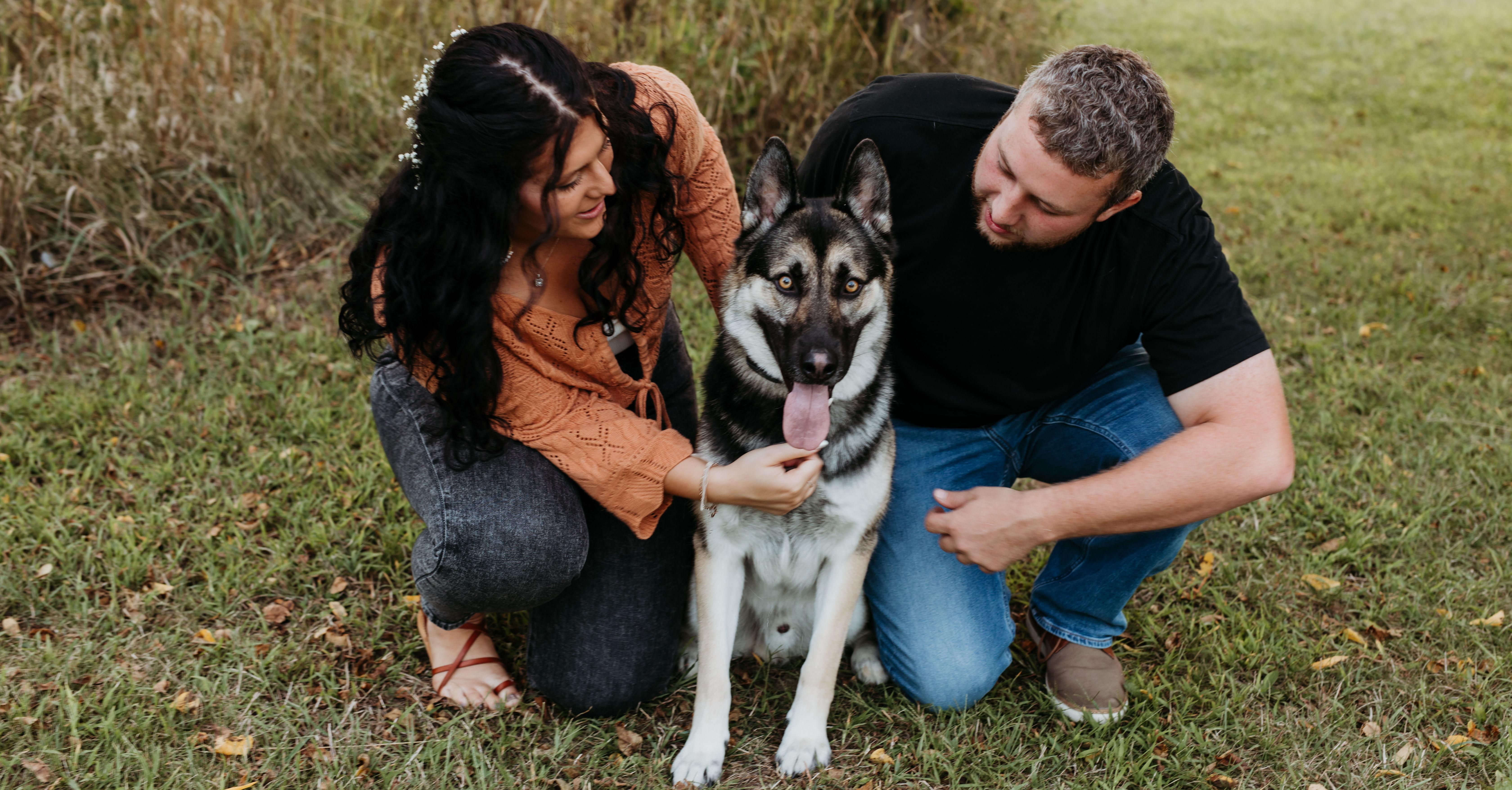 2d9e4c0e-0d98-4c90-a945-49564655bba7