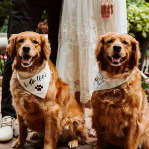 Treats for Ruby & Jade