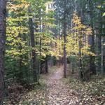 Days River Nature Trail