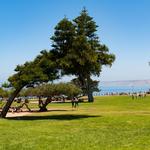 Ellen Browning Scripps Park