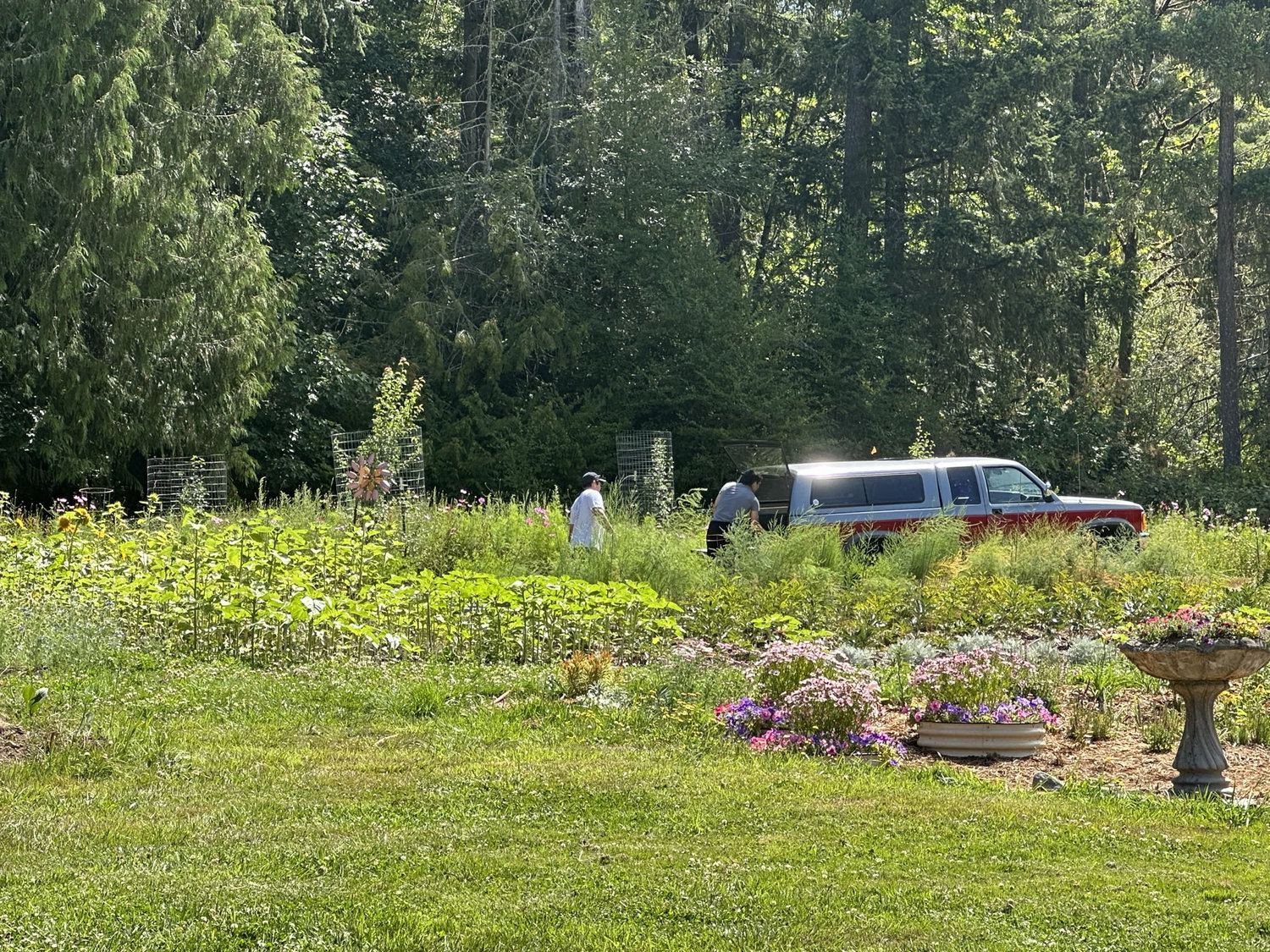 The Wedding Website of Nathalie Linden and Chris Keen