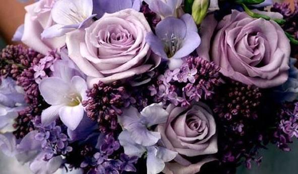 The Wedding Website of Matthias Balesse and Sara Mooney