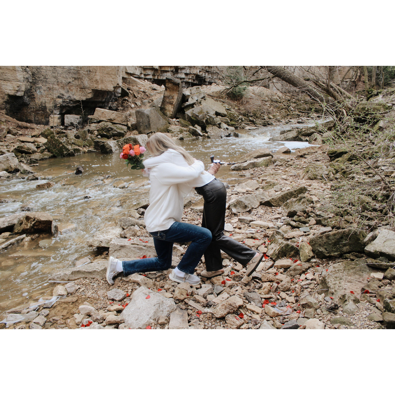our proposal