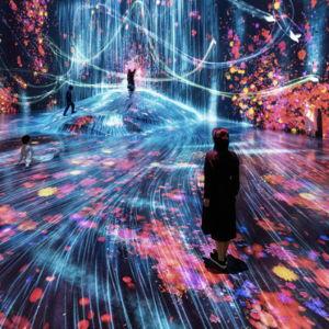 TeamLab Art Museum Tokyo Tickets
