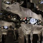 Skyrland Exhibition