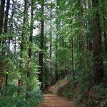 Napa Hiking