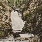 The Cascades