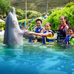 Sea Life Park Hawaii