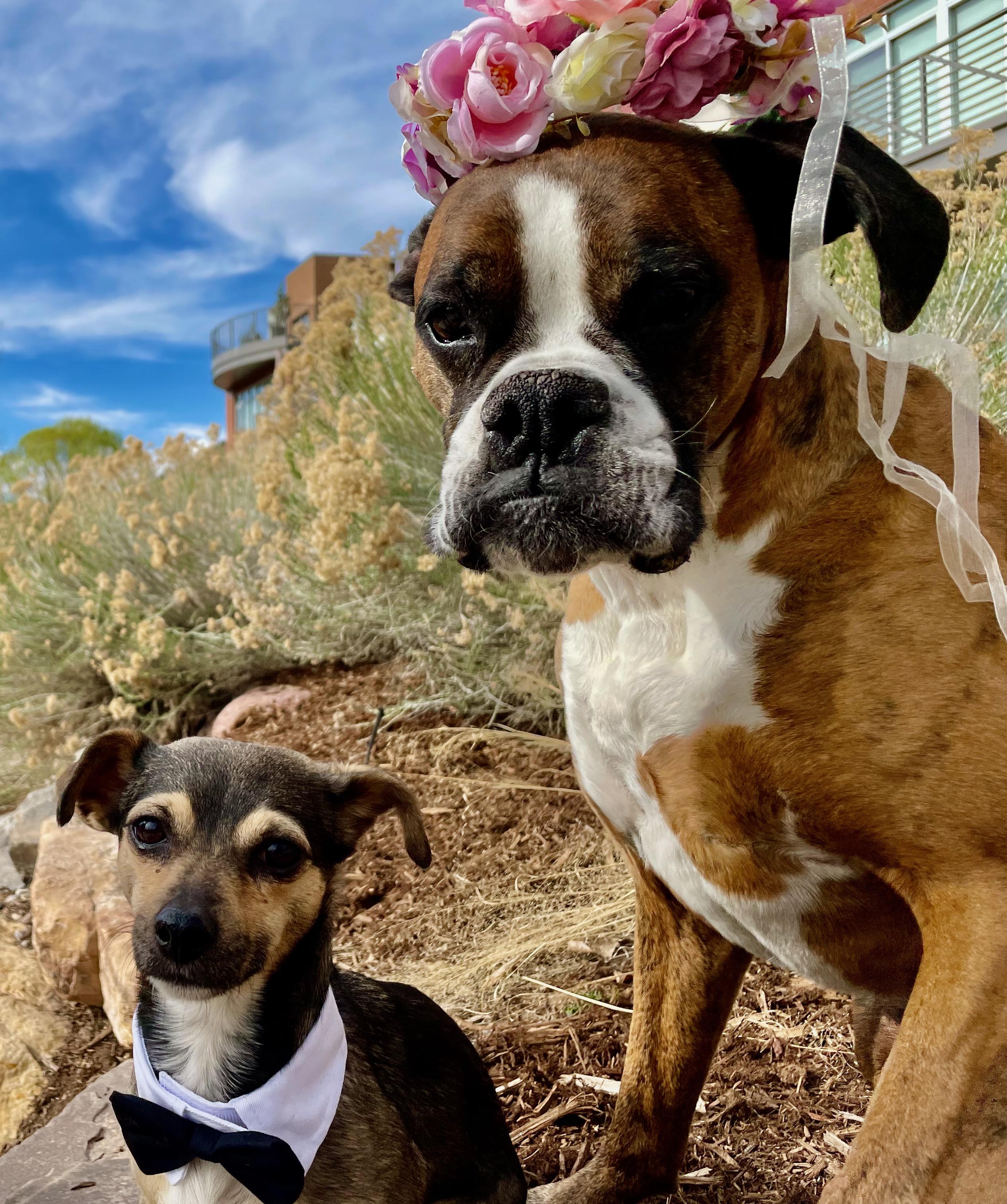 The Wedding Website of Eileen Webster and Tyson Wright