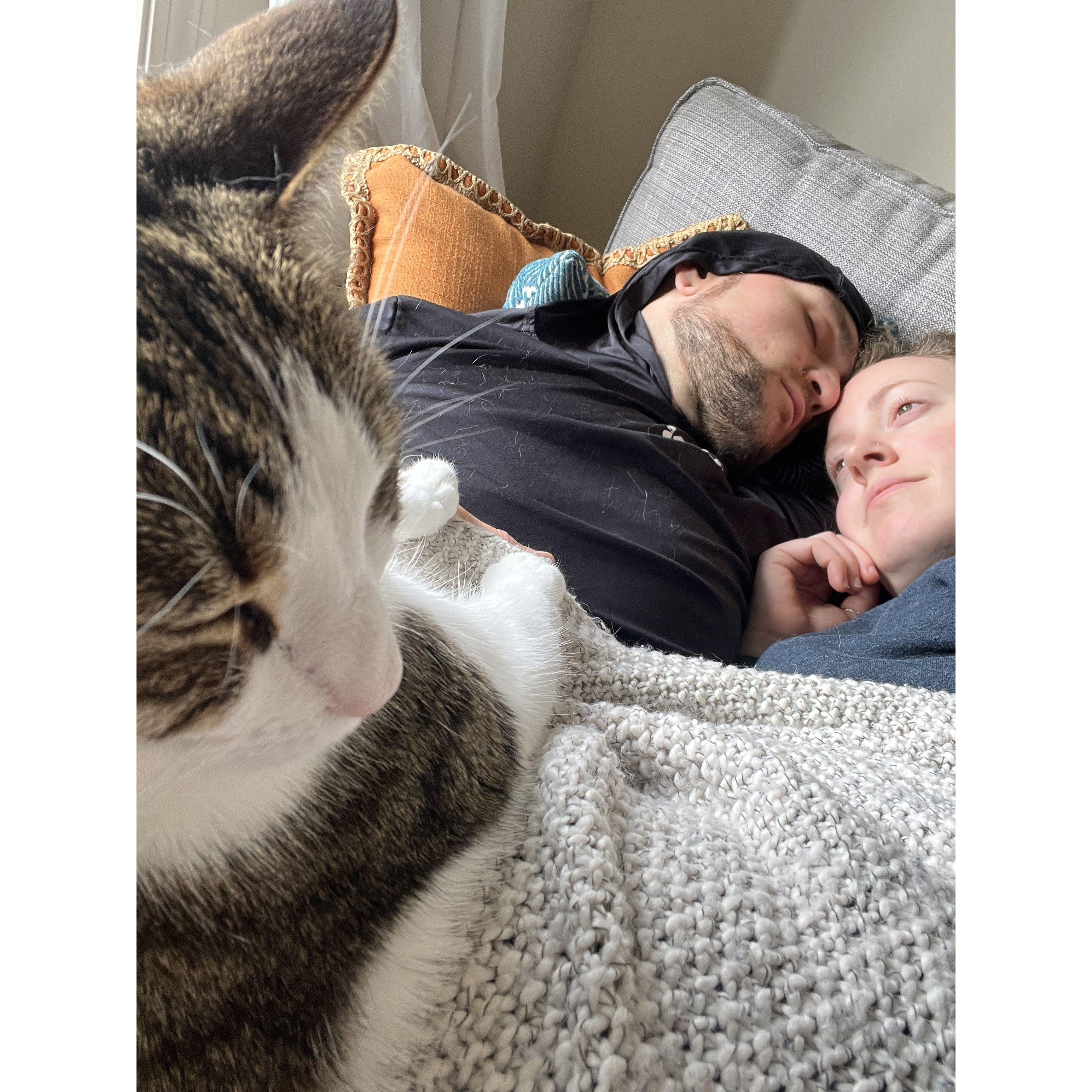 Ruled by cats. 🐱 (2023)