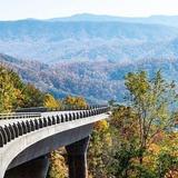 Cades Cove Scenic Loop