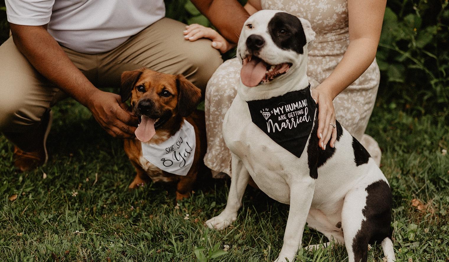 The Wedding Website of Brittany Jackson and Jarrod Jackson