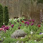 West Virginia Botanic Garden