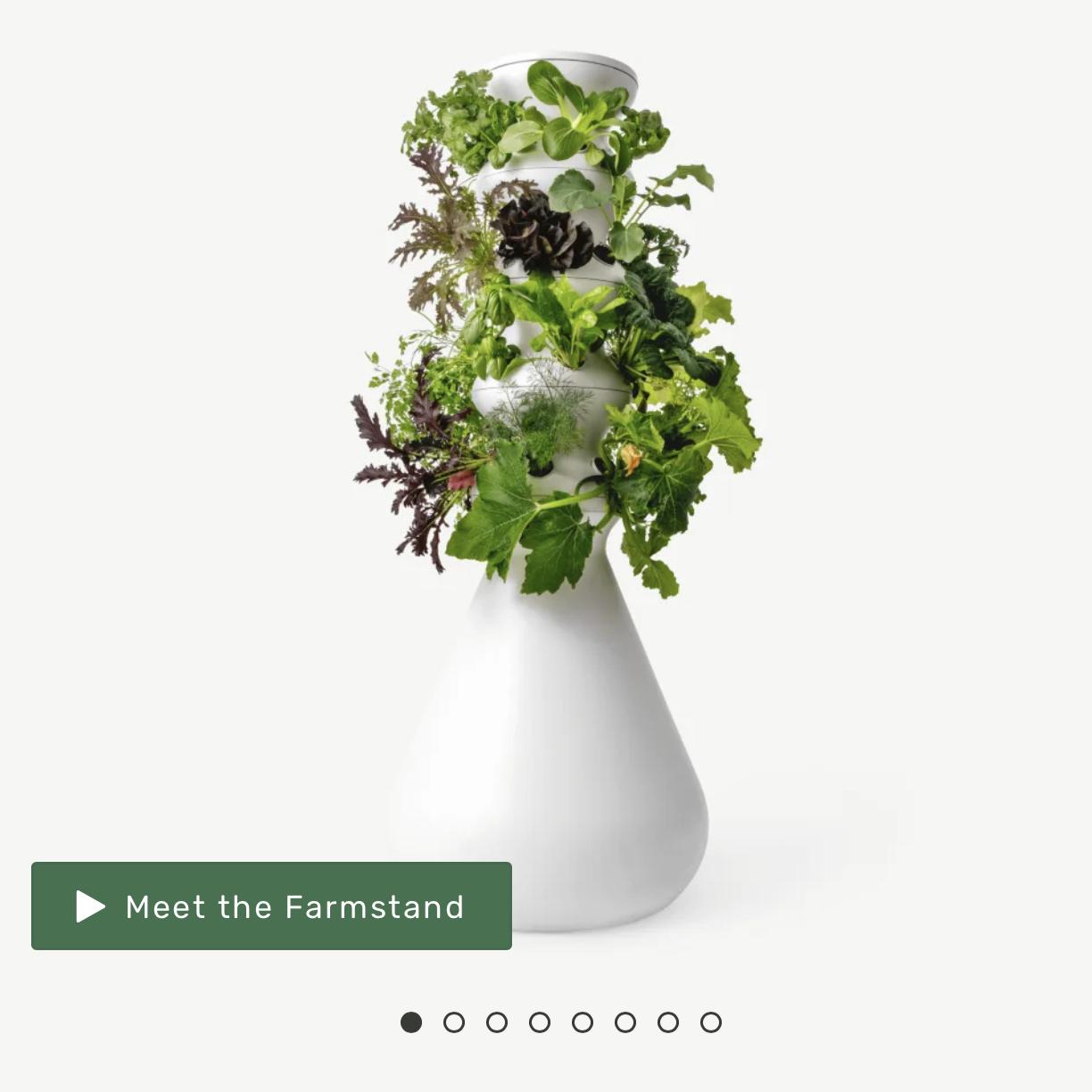 THE FARMSTAND