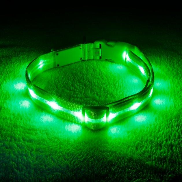 BLAZIN' SAFETY LED USB Rechargeable Nylon Dog Collar, Green, Medium: 13.8 to 19.7-in neck, 1-in wide - Chewy.com