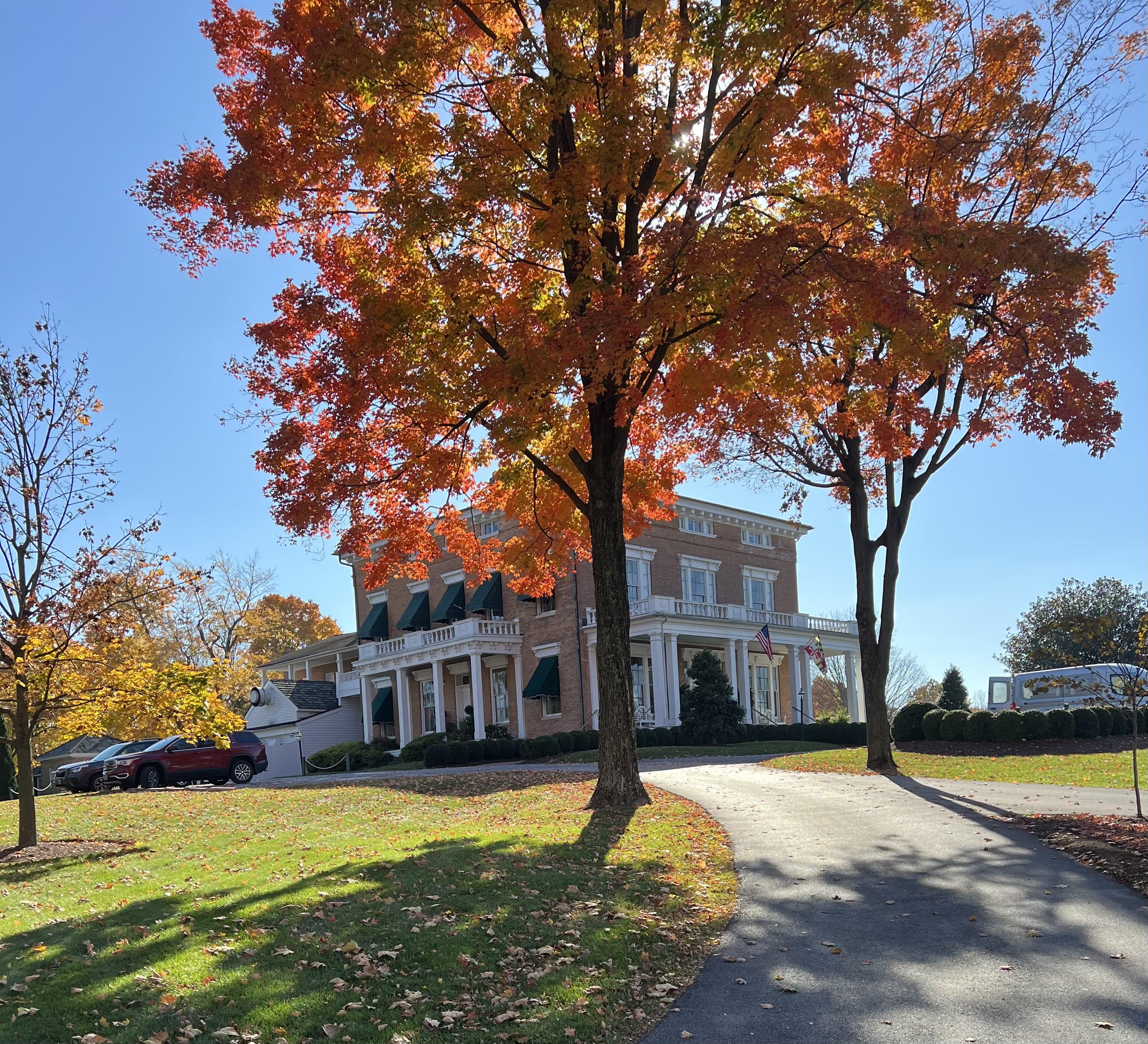 The Wedding Website of Kristen Cann and Tom Dyson