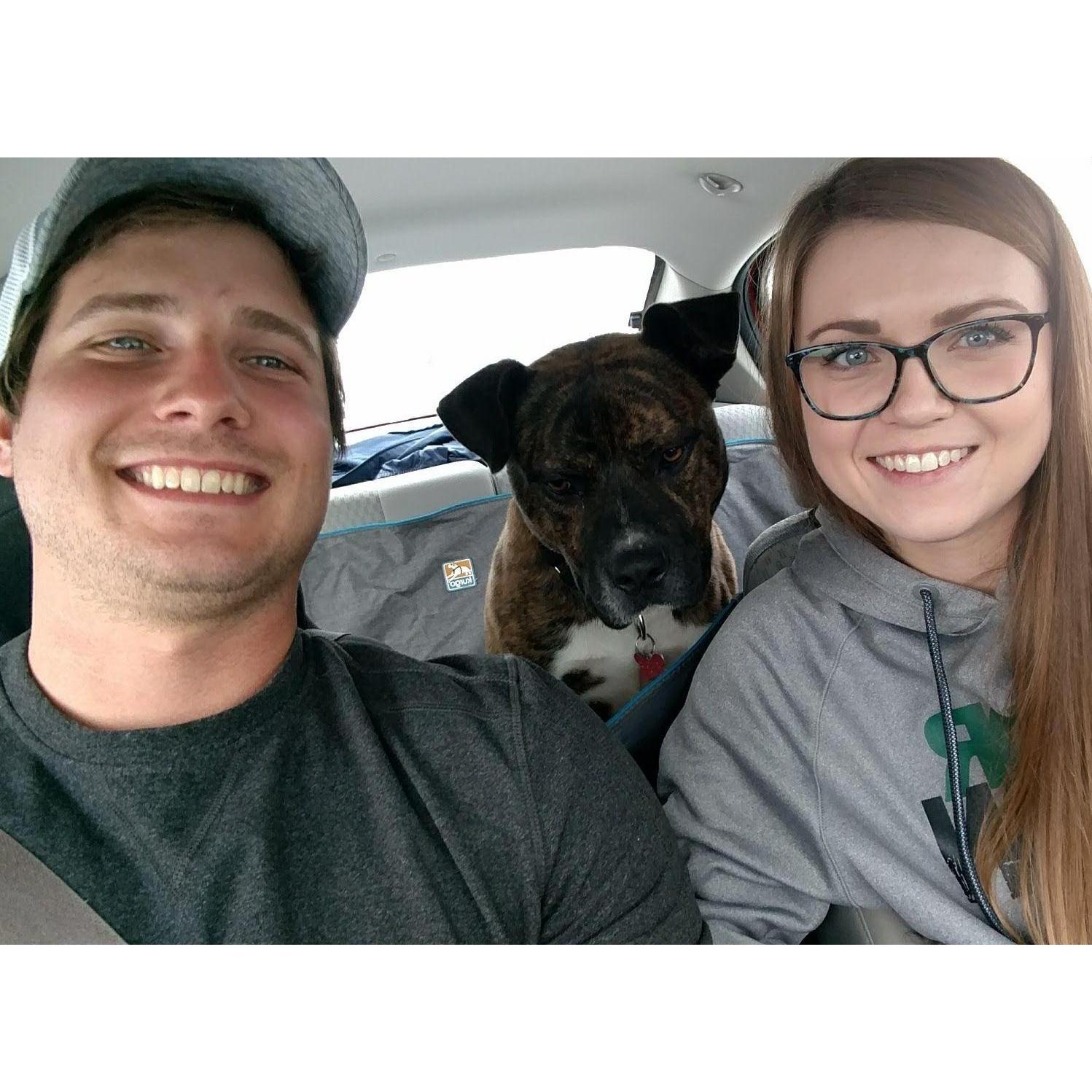 After all those dates, we adopted a dog named Odin...