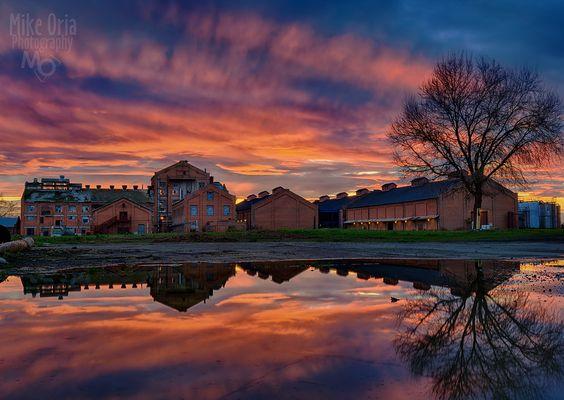 The Wedding Website of London Hine and Kristofer Kristovich