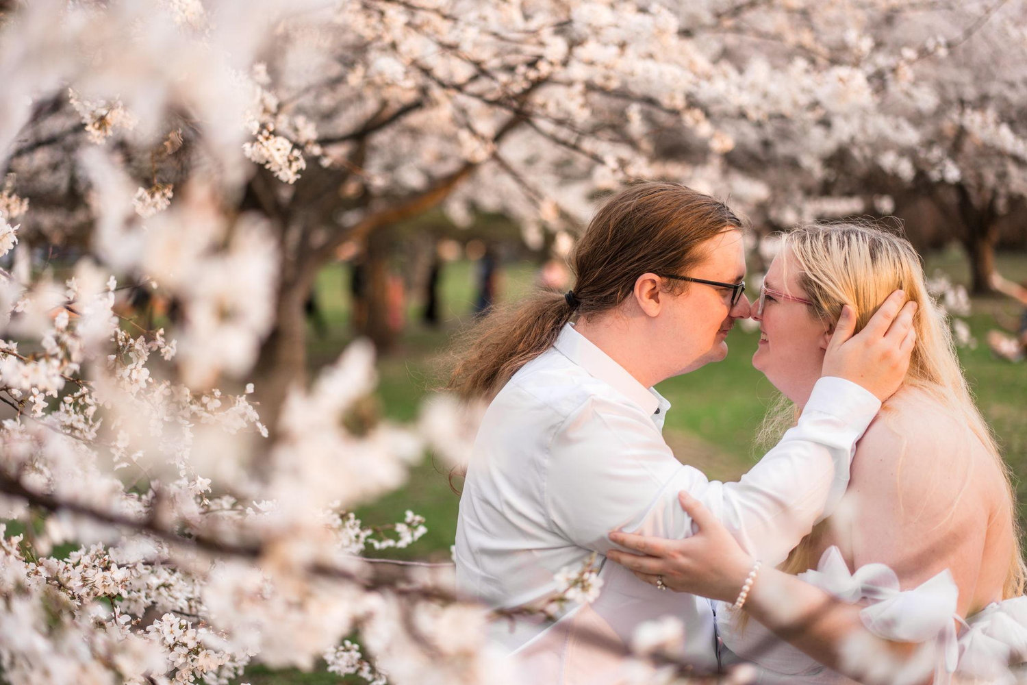 The Wedding Website of Alicia Williard and Tylor Holcomb