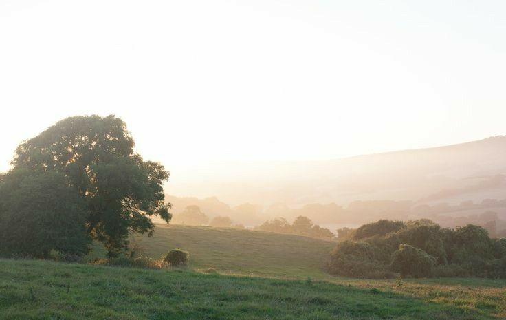 The Wedding Website of Emilia Tattrie and Jack Howard