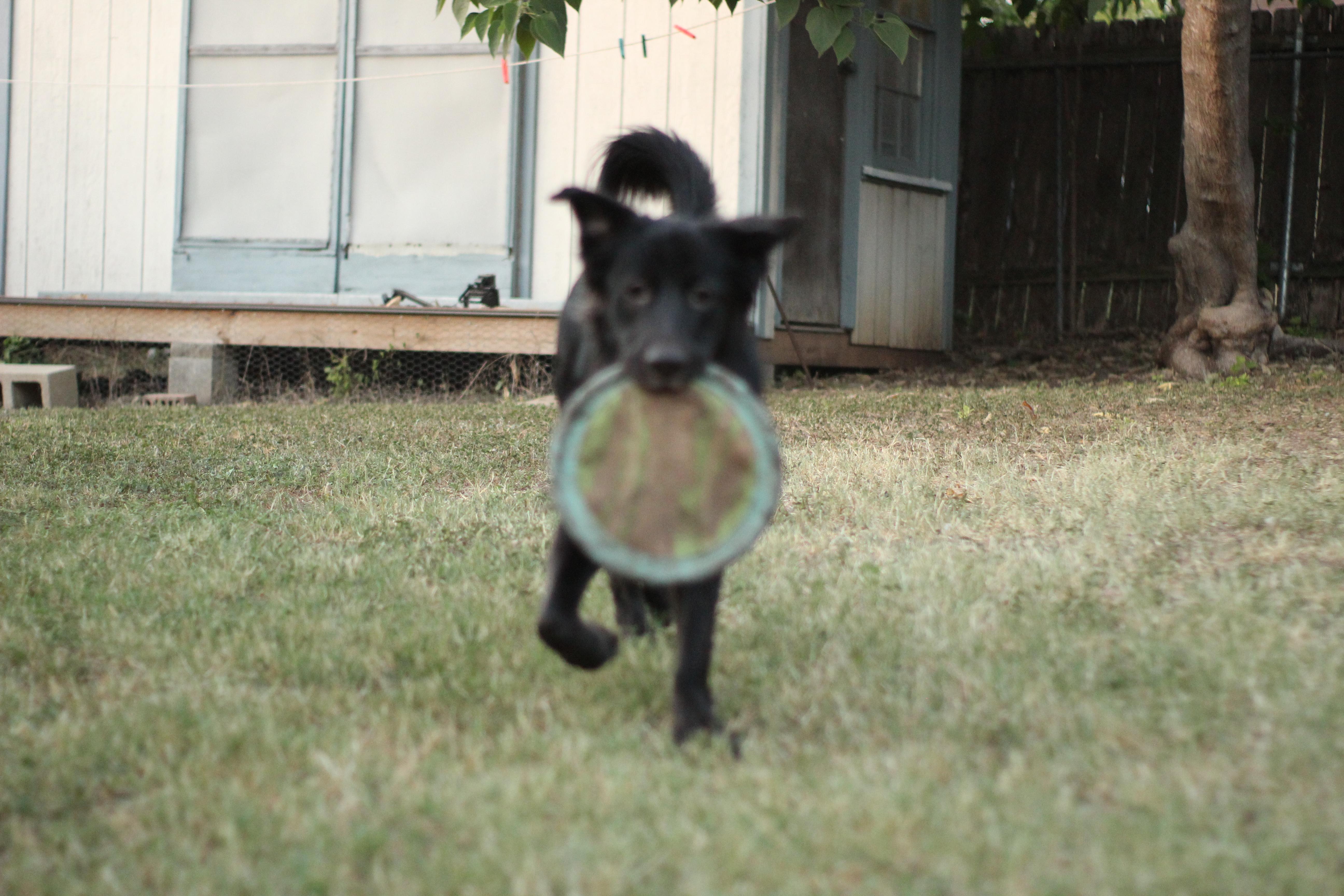 The Wedding Website of Kelsey Akin and Arthur Hayden