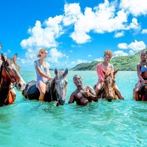 Horseback Ride-Honeymoon Edition