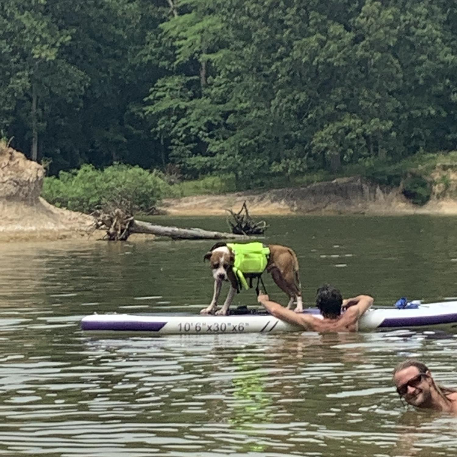 Camping at Carlyle lake Pete’s first time on the paddle board