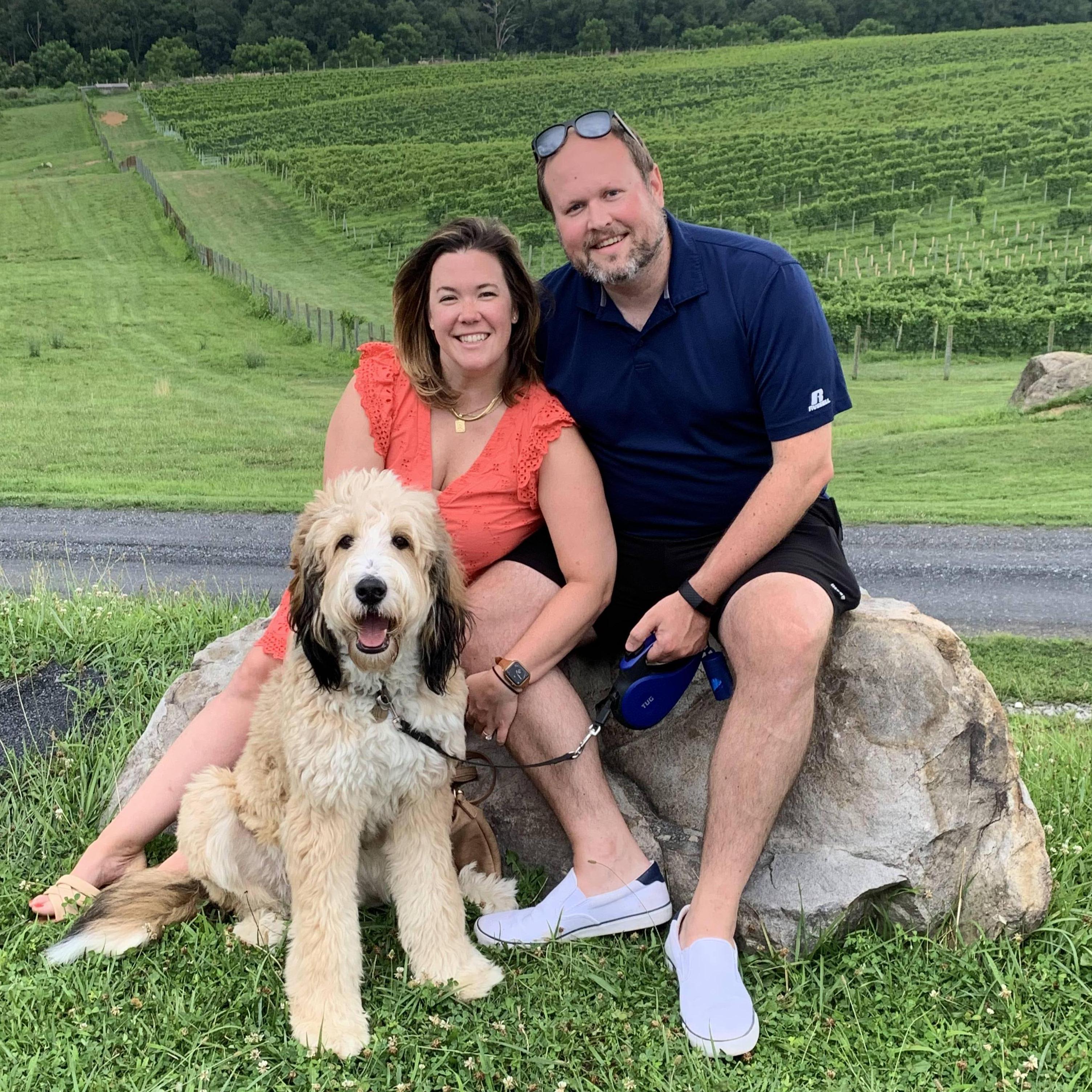 Bluemont Vineyard, July 2021