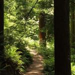 Hoyt Arboretum