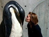 New England Aquarium