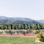 King Family Vineyards