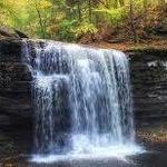 Falls Natural Trail, Rickett's Glen
