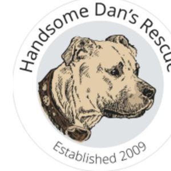 Handsome Dan's Rescue
