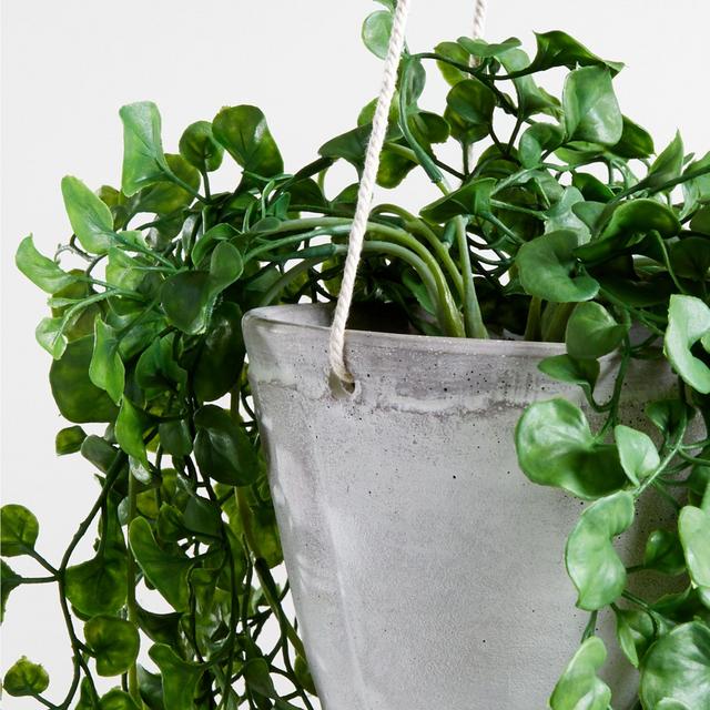 Artificial Trailing Ficus Hanging Plant in Pot