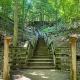 Sanctuary Woods Preserve