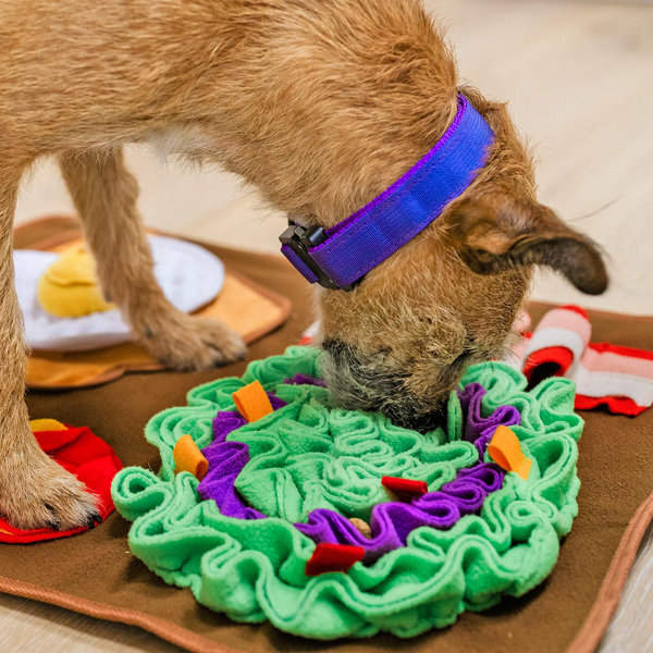 P.L.A.Y. Hundebett Savannah Rund, Größe S, Braun – Mit Recycelter Füllung, Waschbar