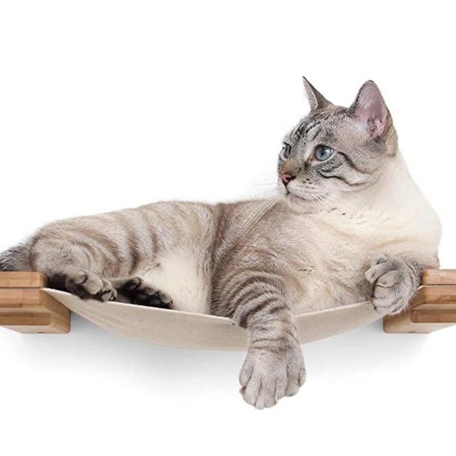 CatastrophiCreations Cat Lounge Hammock Wall Mounted Lounger for Climb and Play Furniture Cat Tree Shelves - English Chestnut/Natural, One Size